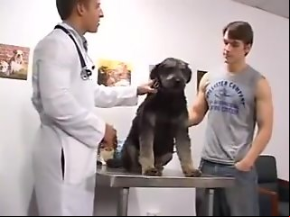 fucking vet    
