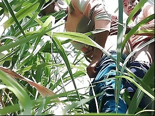 indian coming desi marriage sugarcane field